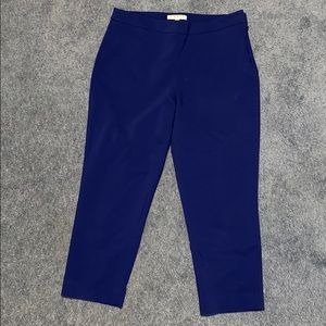 Chaus Blue Side Zip Dress Capris Size 6